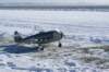 dsc05069_small.jpg