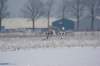 dsc05083_small.jpg