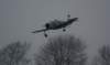 dsc05131_small.jpg