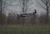 dsc05138_small.jpg