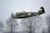dsc05151_small.jpg