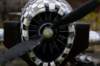 dsc05392_small.jpg