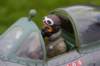dsc05450_small.jpg